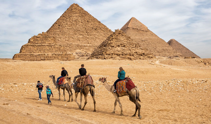Cammellatta Piramidi di Giza